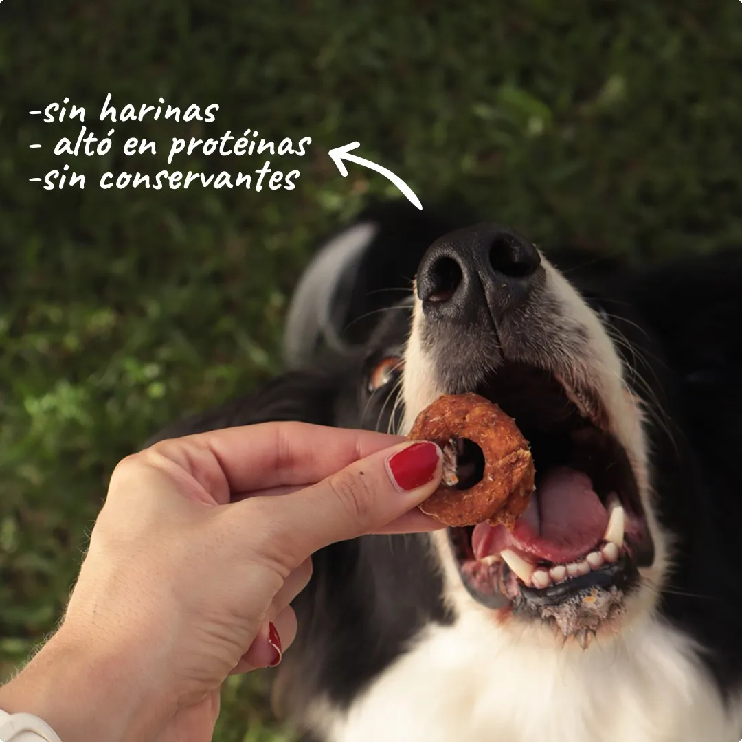 Snacks Jagua ChipitaThumbnail 4